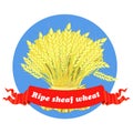 Agriculture grain Sheaf of Wheat