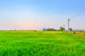 Agriculture green field with industry power plant.