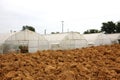 Agriculture greenhouse Royalty Free Stock Photo