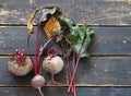 Agriculture. A group of beets with tops on a dark wooden background