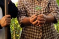 Agriculture hand holding new plant