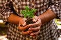 Agriculture hand holding new plant