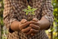 Agriculture hand holding new plant