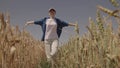 agriculture, happy agronomist runs across the field with raised hands, farmer works in the countryside, ears of wheat on Royalty Free Stock Photo