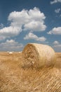 Agriculture - Haystack