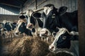 Agriculture industry concept - herd of cows eating hay in cowshed on dairy farm. AI Generation Royalty Free Stock Photo