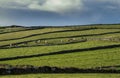 Agriculture industry in Ireland, Green fields separated by old stone fences and dairy cows. Blue cloudy sky. Farm animals grazing Royalty Free Stock Photo