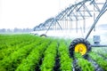 Agriculture irrigation machine Royalty Free Stock Photo