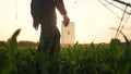 agriculture irrigation. silhouette farmer with a tablet walks through a field with corn and a plant for irrigating the Royalty Free Stock Photo