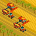 Agriculture Isometric Background