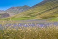 Agriculture in the Italian Mountains, Castelluccio Royalty Free Stock Photo