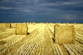 Agriculture land with straw rolls