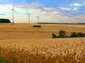 Agriculture landscape Royalty Free Stock Photo