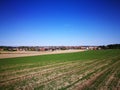 Agriculture landscape. Artistic look in vintage vivid colours. Royalty Free Stock Photo