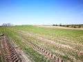 Agriculture landscape. Artistic look in vintage vivid colours. Royalty Free Stock Photo