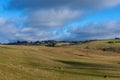 Agriculture landscape of cattle paddock Royalty Free Stock Photo