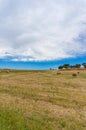 Agriculture landscape of a field with round straw bales Royalty Free Stock Photo