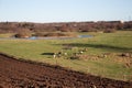 Agriculture landscape. Freshly plowed land. Arable land. Royalty Free Stock Photo