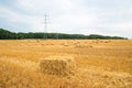 Agriculture Royalty Free Stock Photo