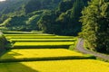 Agriculture landscape of Japanese countryside Royalty Free Stock Photo