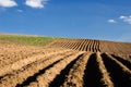 Agriculture landscape - ploughed field Royalty Free Stock Photo
