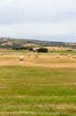 Agriculture landscape of straw bales on field Royalty Free Stock Photo