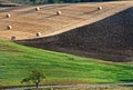 Agriculture landscape with straw bales Royalty Free Stock Photo