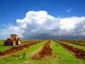 Agriculture landscaped Royalty Free Stock Photo