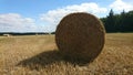 Landscape with dried hay in rolls in sunny day