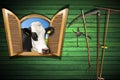 Agriculture and Livestock Concept with Open Window Royalty Free Stock Photo