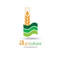 Agriculture Logo Template Design. Icon or Symbol. farm, nature, ecology. Royalty Free Stock Photo
