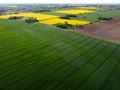 Agriculture lowland in spring, aerial view, Zulawy Wislane, Poland