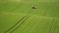 Agriculture on Moravia rolling hills with wheat filds and tractor Royalty Free Stock Photo