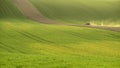 Agriculture on Moravia rolling hills with wheat filds and tractor