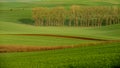 Agriculture on Moravia rolling hills with wheat filds and tractor Royalty Free Stock Photo