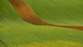Agriculture on Moravia rolling hills with wheat filds and tractor Royalty Free Stock Photo