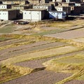 Agriculture in Moroccan Berber village Royalty Free Stock Photo