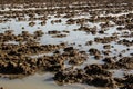 Agriculture mud soil field in a water flood Royalty Free Stock Photo