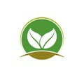 agriculture natural plant fertile logo design