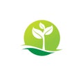 agriculture natural plant fertile logo design