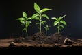 Seedling young green growth grow leaf plant agriculture sprout gardening nature