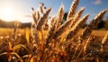 Agriculture, nature, summer, farm, rural scene, wheat, growth, plant, meadow, sunset generated by AI Royalty Free Stock Photo