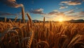 Agriculture nature sunset farm, rural scene, summer wheat, sun landscape generated by AI Royalty Free Stock Photo