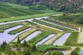 Agriculture in Neretva Delta, Croatia