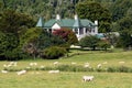 Agriculture in New Zealand NZ NZL Royalty Free Stock Photo