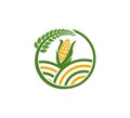 agriculture organic plant horticulture vegetable field vector icon logo design