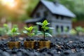 agriculture plant seeding growing step concept in garden on coins with small house, growth investment concept Royalty Free Stock Photo