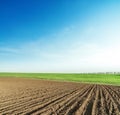 Agriculture ploughed field and green on horizon in sunset time. Blue sky over farmland. Ukrainian agriculture landscape Royalty Free Stock Photo