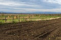 Agriculture Plowed Field Royalty Free Stock Photo