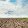 Agriculture plowed field and low clouds Royalty Free Stock Photo